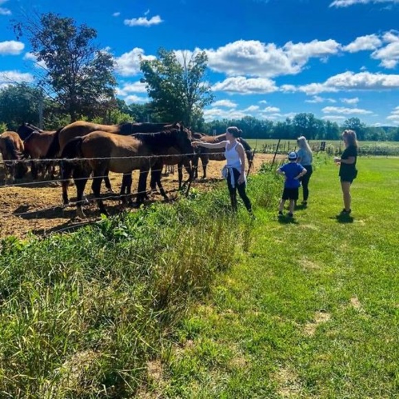 Meet your Posher, Ally - Picture 1 of 1